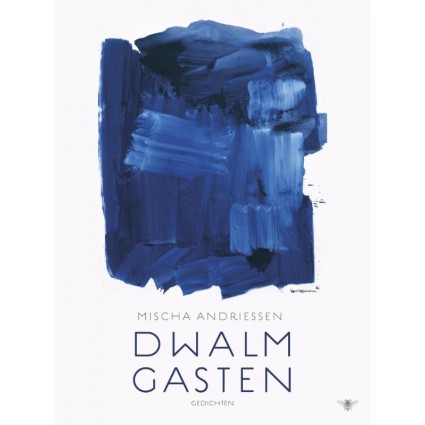 Recensie Mischa Andriessen – Dwalmgasten