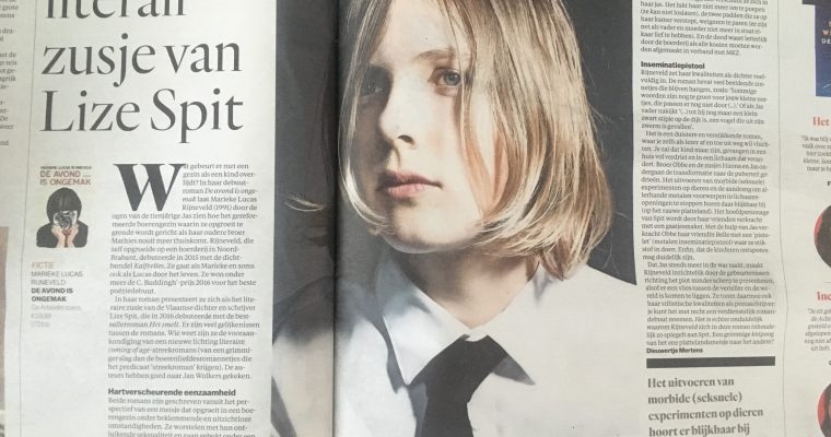 Grimmig literair zusje van Spit