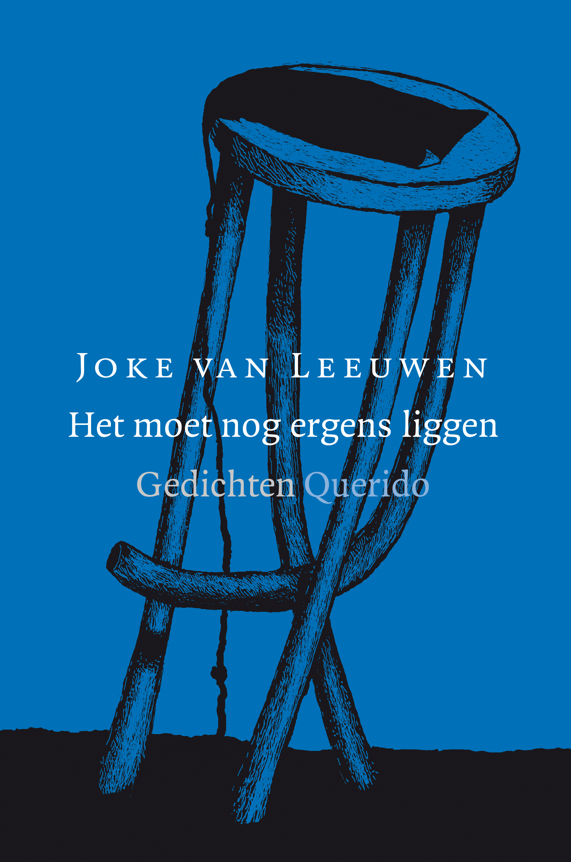 Recensie Joke van Leeuwen – Het moet nog ergens liggen