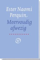 Recensie Ester Naomi Perquin – Meervoudig Afwezig